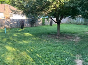 Zach F.'s Yard Cutting service result