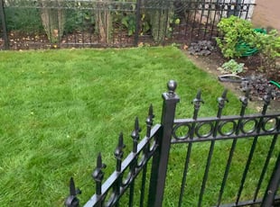 Gu K.'s Lawn Mowing Service service result