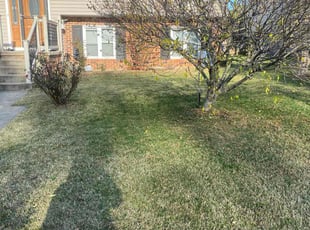 Delores G.'s Lawn Care service result