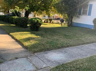 Bush Trimming by Ventura Duarte Guerra for Tanya L. in Hyattsville, MD