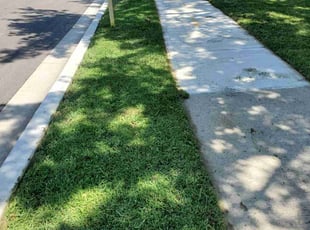 Trent T.'s Lawn Mowing Service service result