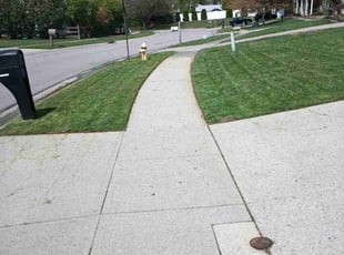 Anthony S.'s Lawn Maintenance service result