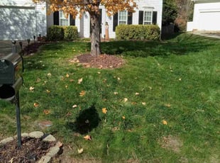 Leaf Removal by Echo & Gary Stephens for Shawn M. in Charlotte, NC