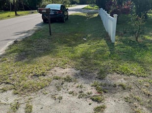 Leaf Removal by Delliot Wilson for Marie K. in Gibsonton, FL