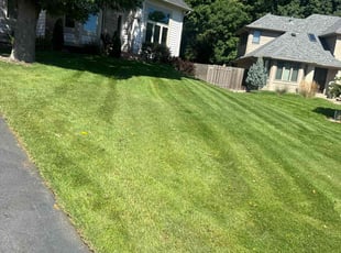 Deepak K.'s Grass Cutting service result