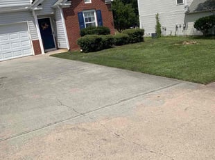 Milo D.'s Lawn Mowing Service service result