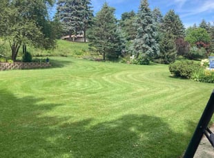 Jeananne L.'s Lawn Care service result