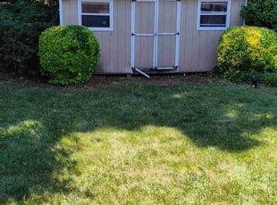Bush Trimming by Davon Futrell for Thais B. in Virginia Beach, VA