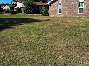 Cleanups by Michael Tinsley for Brandon M. in Augusta, GA