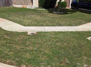Cody F.'s Lawn Service service result