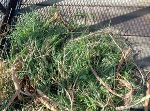 Weeding by Jimmy Craighead for Michelle D. in Randallstown, MD