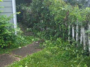 Bush Trimming by Akil Mills Sr for Thomas S. in Richmond, VA