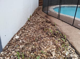 Leaf Removal by Severa Rosie Lara for Kristopher L. in Arlington, TX