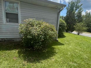 Bush Trimming by Carrissa Sherman for Anthony R. in Newnan, GA
