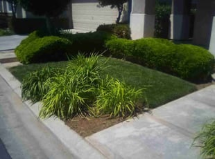 Jennifer W.'s Lawn Mowing Service service result