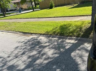Lisa G.'s Yard Cutting service result