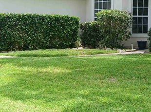 Bush Trimming by Terrence Johnson for Erika V. in Jacksonville, FL