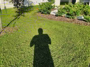 Debra B.'s Yard Cutting service result