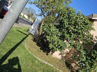 Cleanups by Juan Rodriguez for Felicia v. in Elk Grove, CA