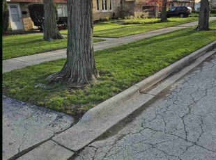 Valerie K.'s Lawn Mowing Service service result