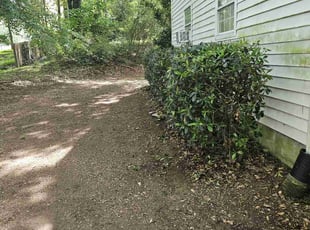Bush Trimming by Tyrone Woodberry for Constance d. in Snellville, GA