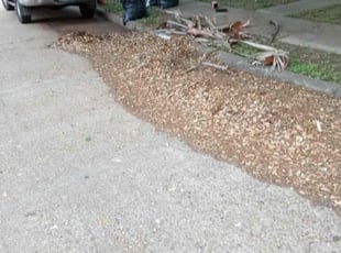 Leaf Removal by Gabreil Davis for MonSher S. in Houston, TX