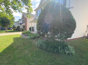 Bush Trimming by Terrance Flowers for James K. in Charlotte, NC