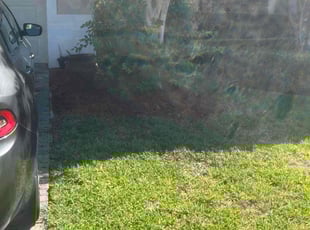 Weeding by Gabriel Detro for Dominique D. in Sanford, FL