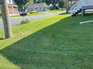 Elder Jesse S.'s Lawn Service service result