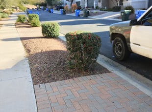 Bush Trimming by Gideon Cook for William V. in Phoenix, AZ