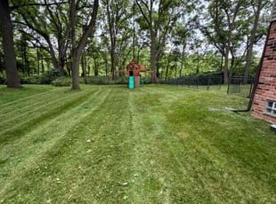 Mimi J.'s Grass Cutting service result