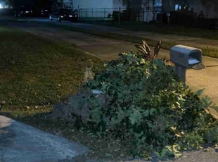 Leaf Removal by Rhuan Santos for Steve S. in Kissimmee, FL