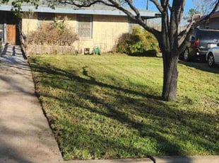 Gloria D.'s Lawn Service service result