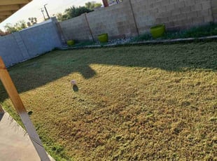 Cleanups by Gideon Cook for Laura D. in Phoenix, AZ