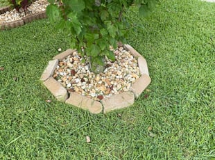 Weeding by Navin Persad for Nicole G. in Ruskin, FL