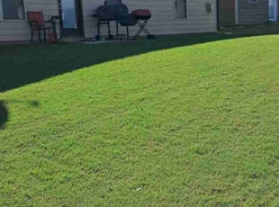 Timothy E.'s Lawn Service service result