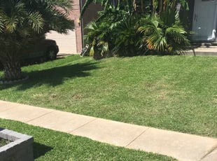 Cleanups by Adam Perry for Anna W. in Live Oak, TX