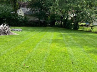 Sean M.'s Lawn Maintenance service result