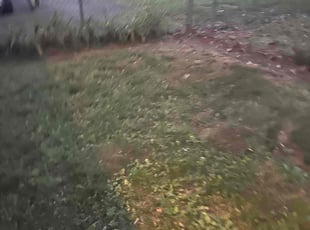 Leaf Removal by Joe Lee Jr for Tina B. in Midlothian, VA