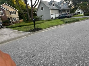 Weeding by Walter Sandoval for Sean L. in Charleston, SC
