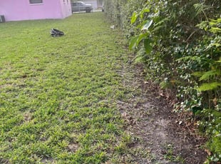 Cleanups by Kenneth Swayne for Sal O. in Miami, FL
