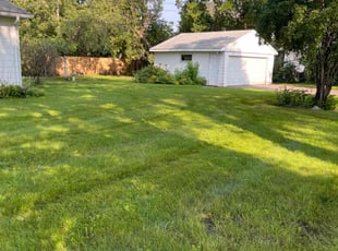 Shelly Z.'s Lawn Service service result