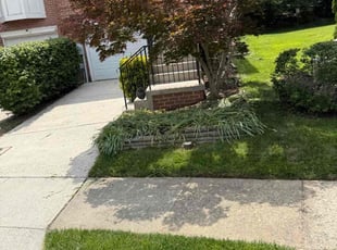 Weeding by Samuel Jordon for Jack E. in Columbia, MD