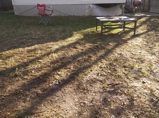 Leaf Removal by David Gallaway for Cory V. in Saint Paul, MN