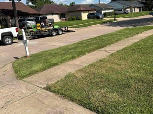 Sonal R.'s Lawn Mowing Service service result