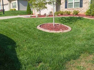 Bill P.'s Lawn Mowing service result