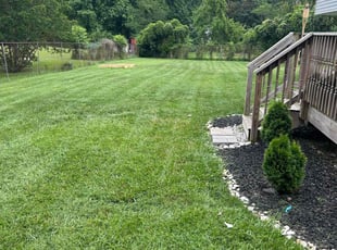 Tony A.'s Lawn Service service result