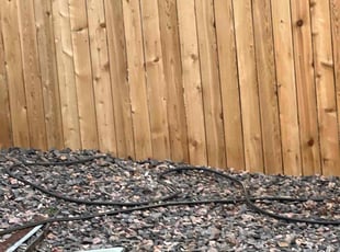 Leaf Removal by Jesse Nunez for Staci M. in Aurora, CO