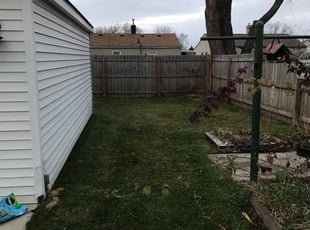 Leaf Removal by John Hellems for Matthew M. in Madison Heights, MI