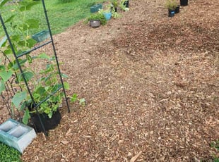 Mulching by Stephanie Moland for Deborah C. in Powder Springs, GA